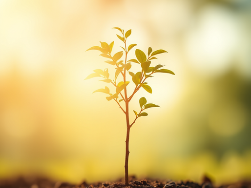 Giving That Lasts: Why the Smartest Foundations Think Like Investors