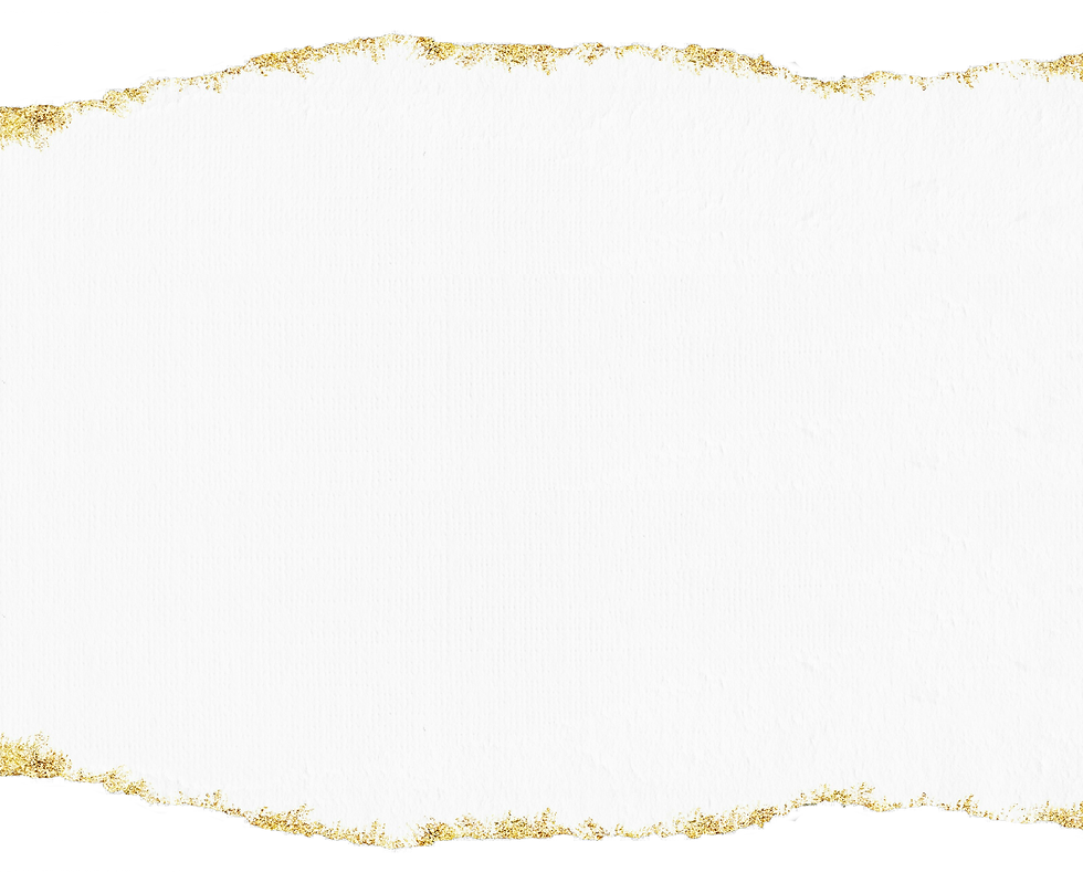 concept_back.png