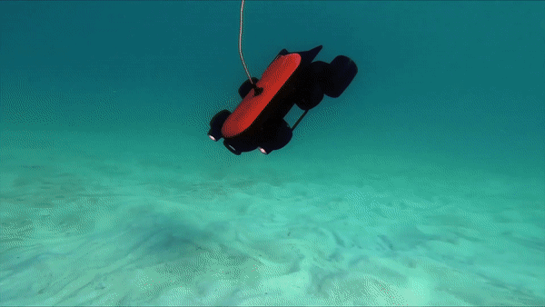 ezgif-1-dbbd3947bdc1.gif