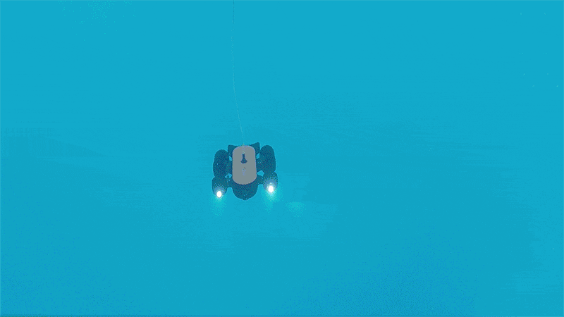 4K_3000.gif