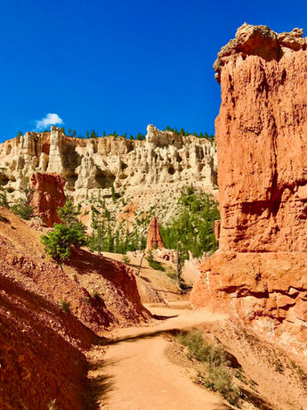 Trail winding between tall hoodoos in Bryce Canyon amphitheater