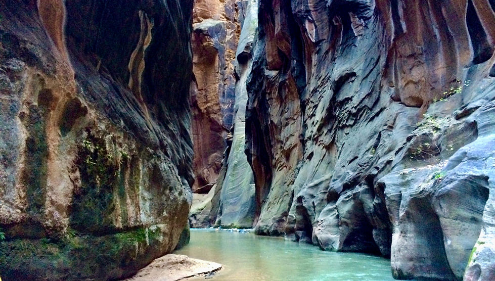 the Virgin River between towering sandstone walls in Zion’s Narrows