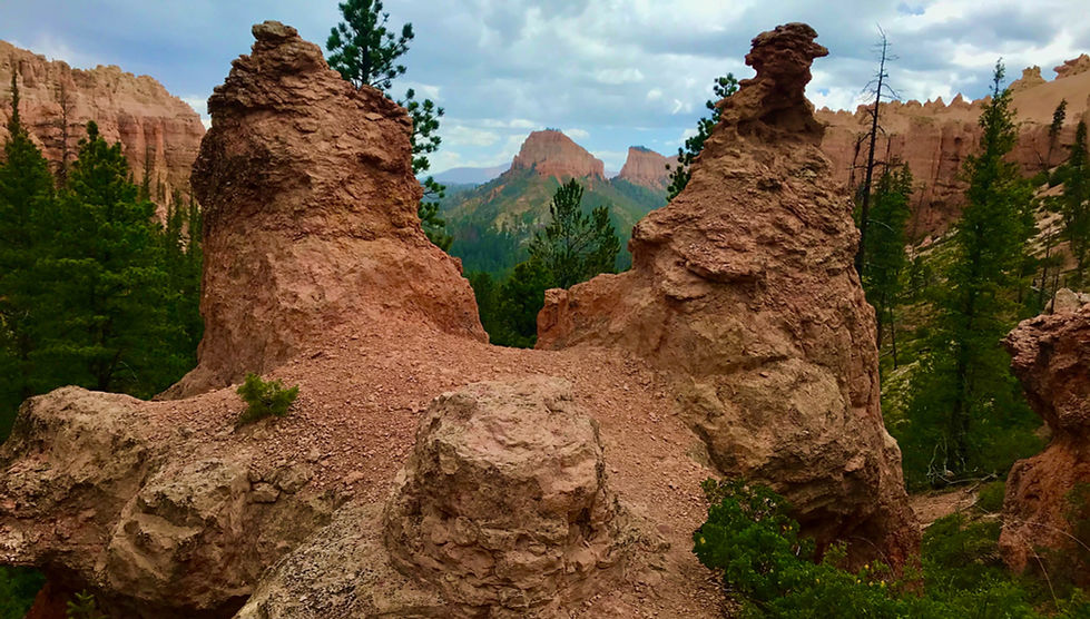 Close-up hoodoos and red rock formations along Swamp Canyon Loop trail, Bryce Canyon Utah