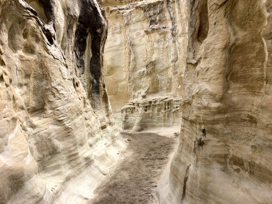 Wiregrass Canyon Narrows near Big Water Utah