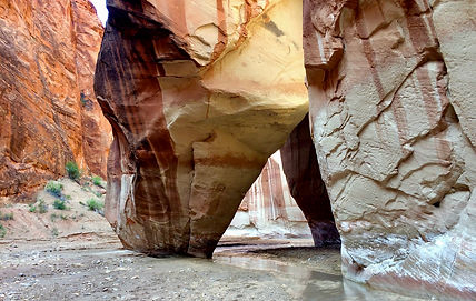 colorful sandstone cliffs and desert formations in Vermilion Cliffs National Monument