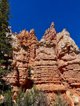 Intricate cluster of hoodoos with sharp spires in Bryce Canyon
