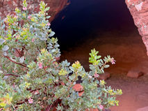 Entrance to cave partially framed by desert vegetation in Sedona off Long Canyon trail