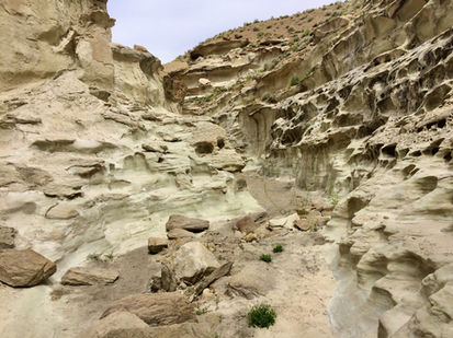 Trippy rock formations in Wiregrass Canyon Narrows