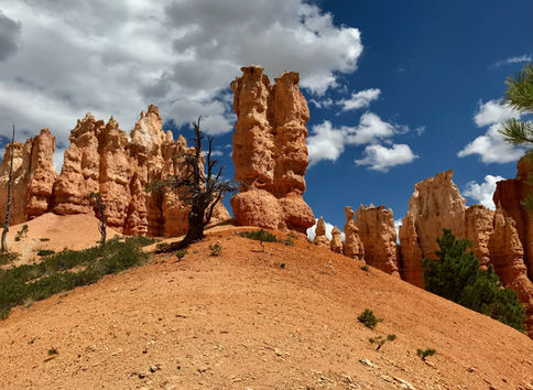Ridge of hoodoos rising above the trail on Peekaboo Loop