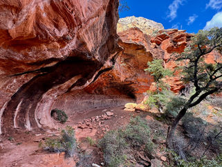 Cave interior view with curved sandstone walls and tree at entrance