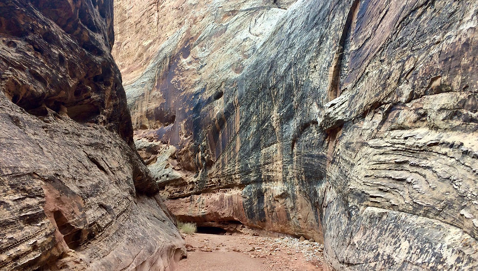 Grand Wash narrow canyon walls sandy wash Capitol Reef National Park Utah
