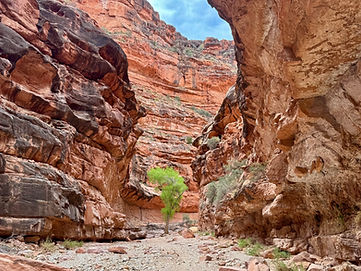 turquoise waterfalls and red rock canyon landscapes in Havasupai Arizona