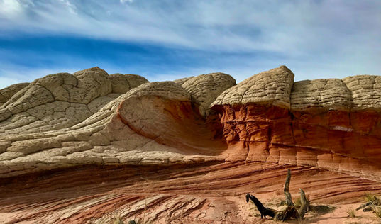 unique rock textures in White Pocket desert landscape