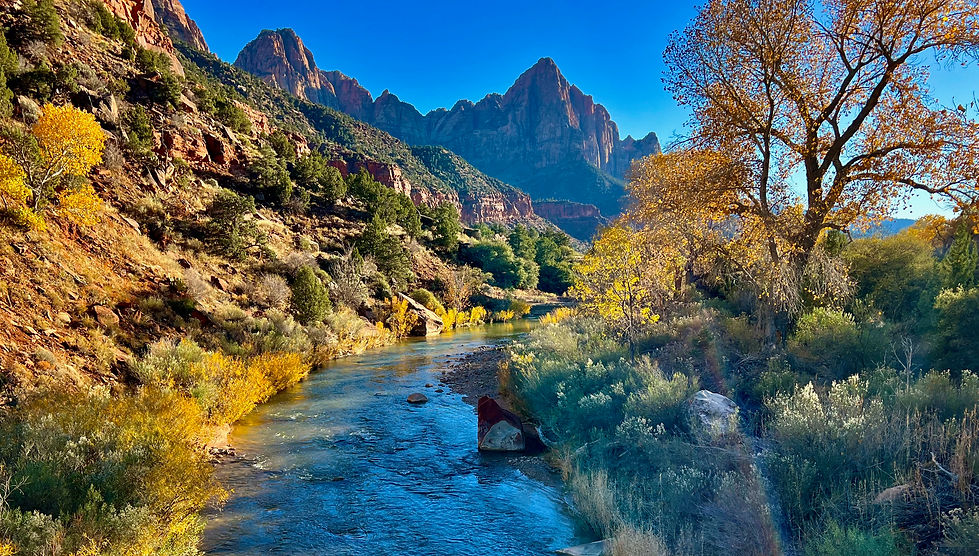 Par's trail fall color Virgin River with The Watchman Zion National Park