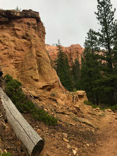 Narrow trail cutting through orange sandstone along Swamp Canyon Loop in Bryce Canyon