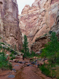 Wide sandy wash and towering sandstone walls in Lower Spring Canyon