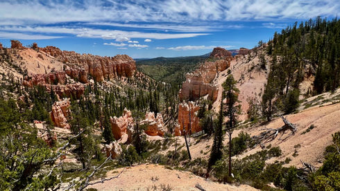 Swamp Canyon Loop trail view overlooking forested canyon with red rock formations in Bryce Canyon National Park