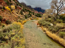Paved Pa’rus Trail following the Virgin River through Zion Canyon