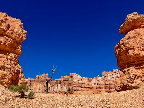 Close-up hoodoo formations against deep blue sky on Peekaboo Loop