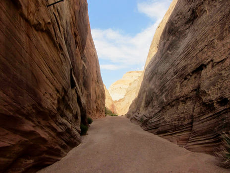 Grand Wash narrow canyon hiking trail Capitol Reef National Park Utah