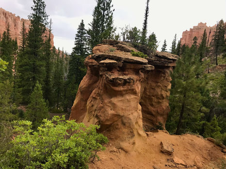 Hoodoo formation rising from forest along Swamp Canyon Loop in Bryce Canyon