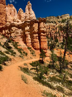 Close-up hoodoos and orange dirt trail along Fairyland Loop in Bryce Canyon