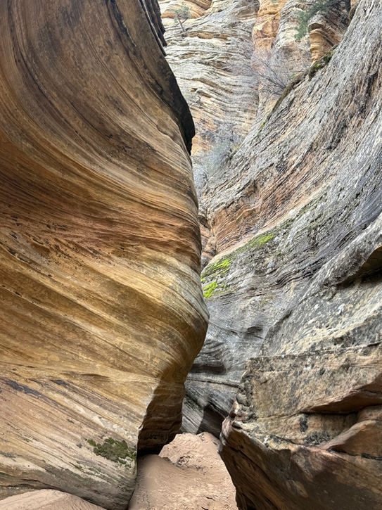 Tight slot canyon with swirling rock textures and reflected light in Clear Creek