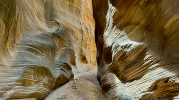Deep, winding slot canyon walls in Willis Creek with soft light and shadow