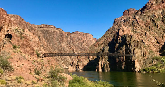 Hiker on the Bright Angel Trail surrounded by green vegetation and canyon walls