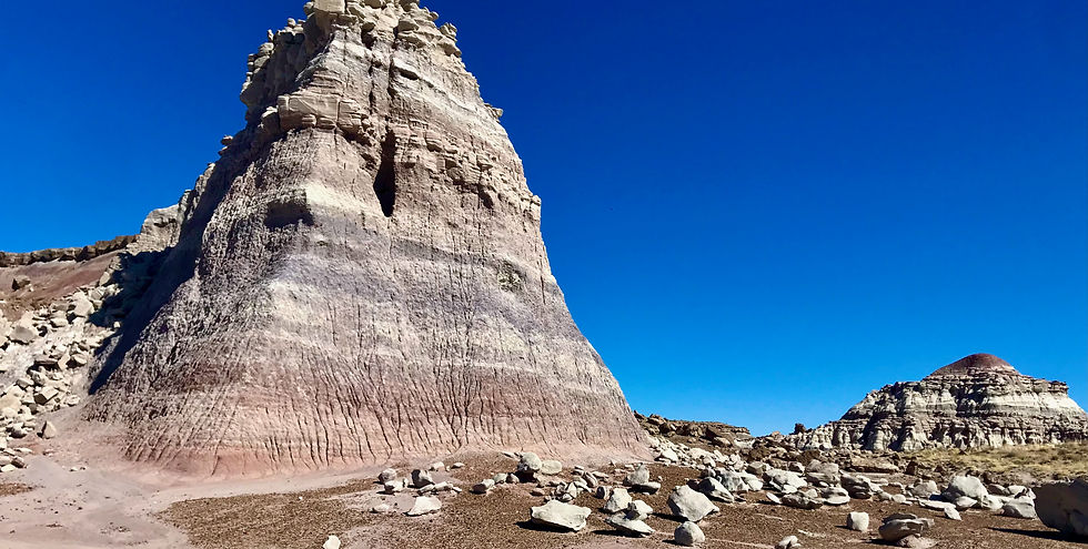 colorful badlands and petrified wood landscapes in Petrified Forest National Park