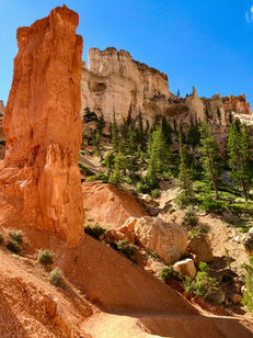 Steep trail descending between hoodoos and trees on Peekaboo Loop