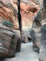 Narrow slot canyon section with smooth sculpted walls and a shallow stream in Clear Creek