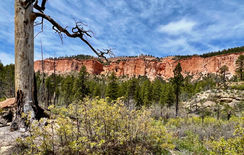 Wide view of red cliffs and forested terrain along Swamp Canyon Loop in Bryce Canyon National Park