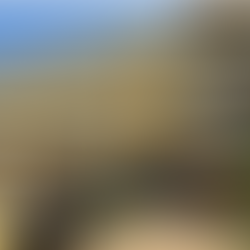 Sen. Frett-Gregory Demands School Administration Share Status of CAHS with Parents and Community