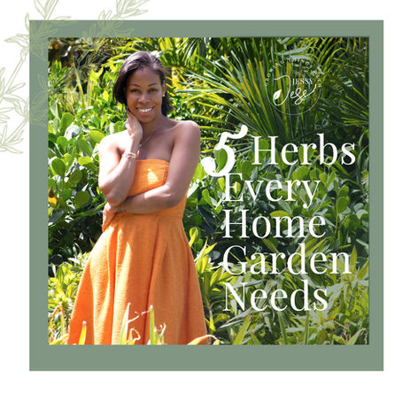 5 Herbs Every Home Garden Needs!