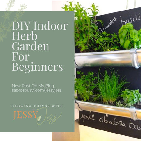DIY Indoor Herb Garden For Beginners