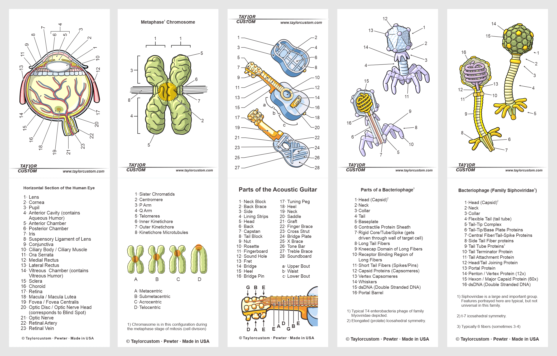 packaging-images-08b