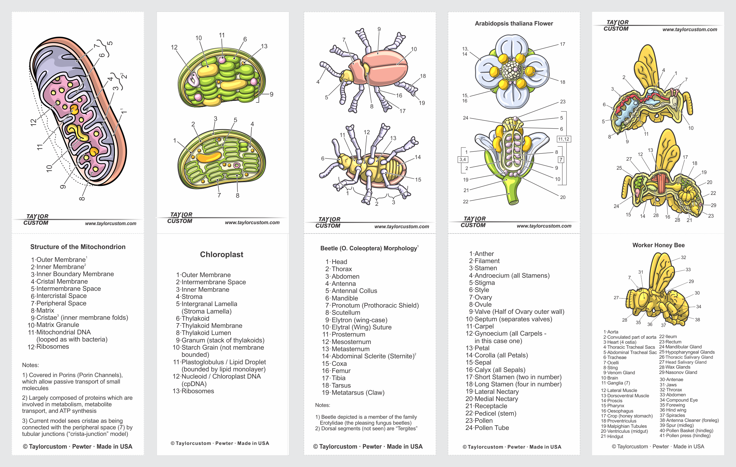packaging-images-02