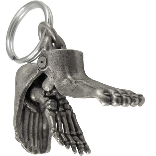 anatomical-foot-03