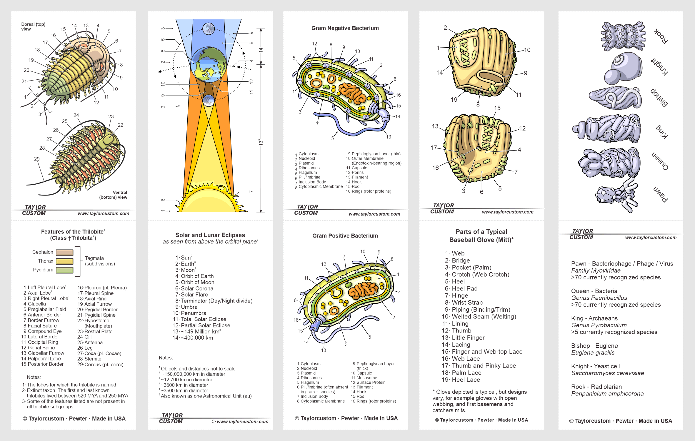 packaging-images-09