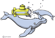 humpback01