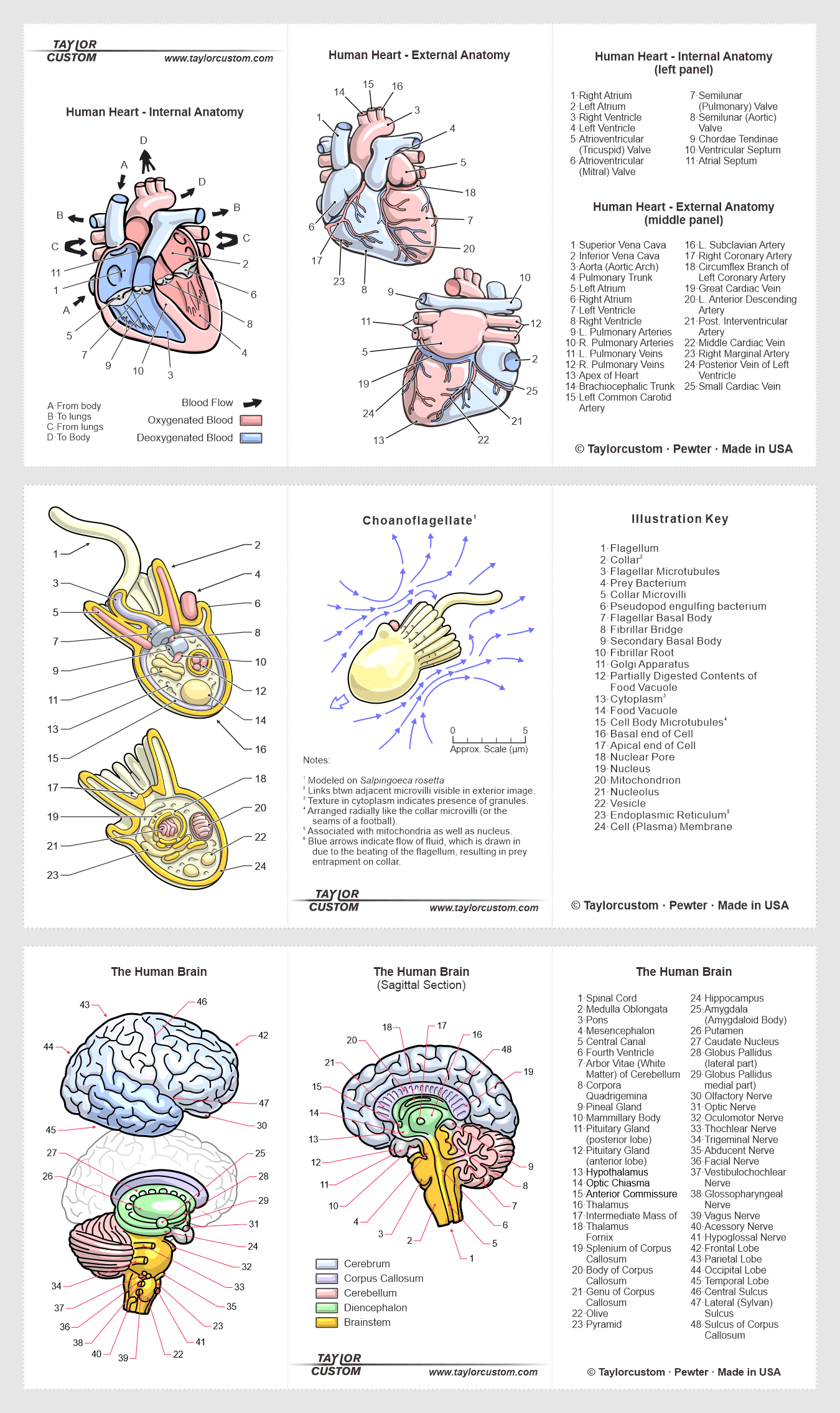 packaging-images-05b