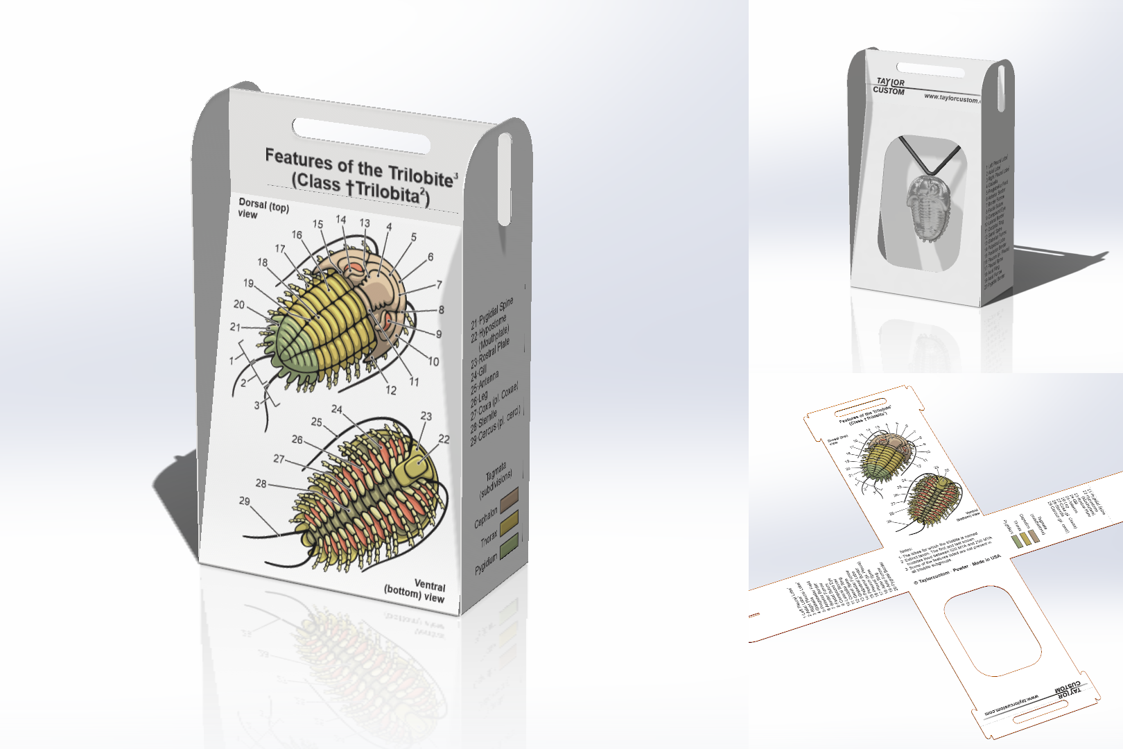 foldup-packaging-04