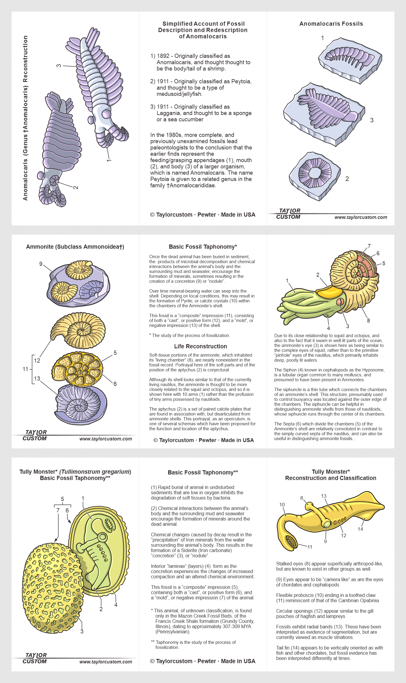 packaging-images-10