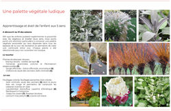 Présentation cour d'école