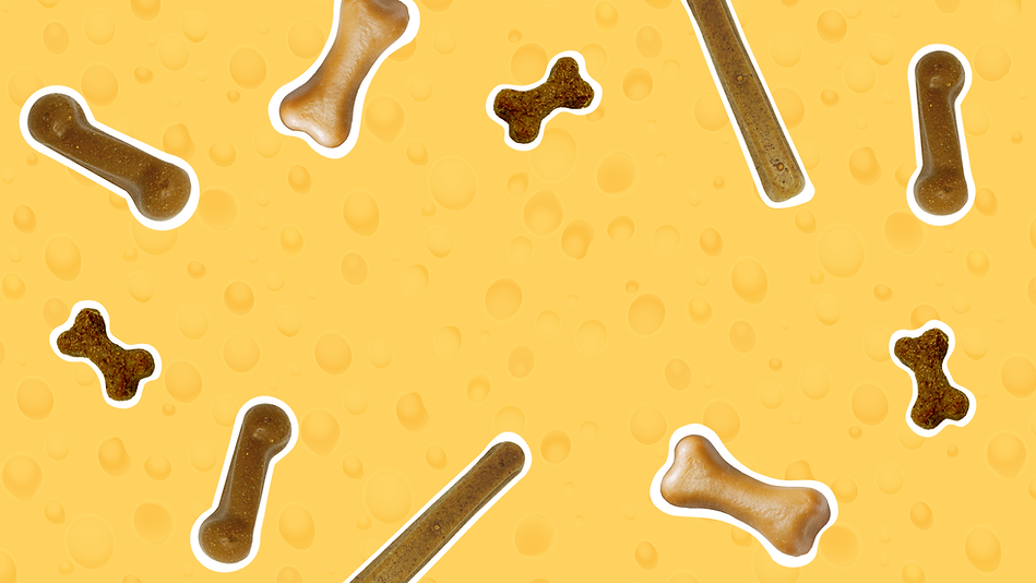 imagem-queijo-e-osso-.png
