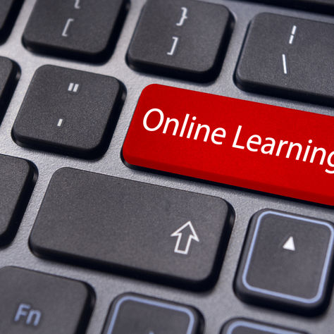 Online training with ESS