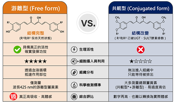 CurcXR 薑黃_內頁-3_RV.png
