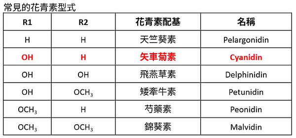 圖片1.png