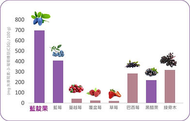 藍靛果C3G示意圖.jpg